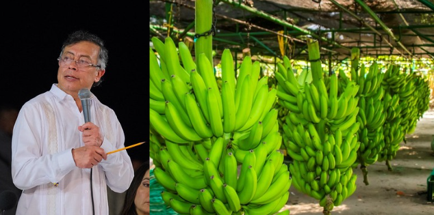 Petro propuso reemplazar cultivos de banano para priorizar el agua potable; gremio bananero rechazo la iniciativa
